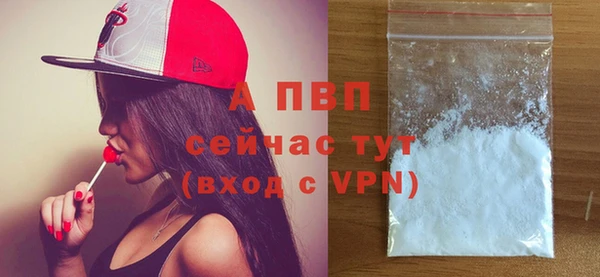 ГАЛЛЮЦИНОГЕННЫЕ ГРИБЫ Карпинск