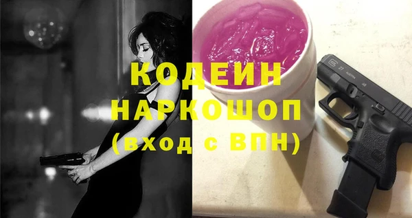 ешки Инта