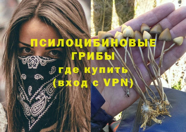 ГАЛЛЮЦИНОГЕННЫЕ ГРИБЫ Карпинск