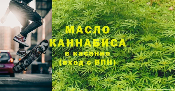 apvp Инсар