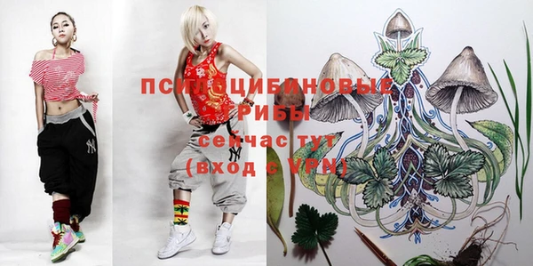 ГАЛЛЮЦИНОГЕННЫЕ ГРИБЫ Карпинск