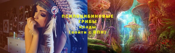 дурь Касимов